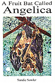 A Fruit Bat called Angelica