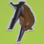 Adhesive Decals