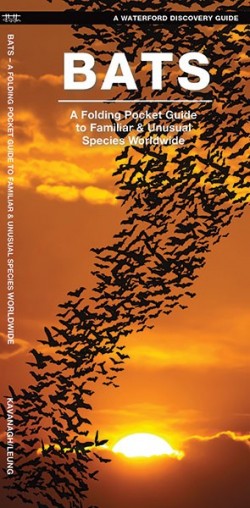 Bats A Folding Pocket Guide to Familiar & Unusual Species Worldwide