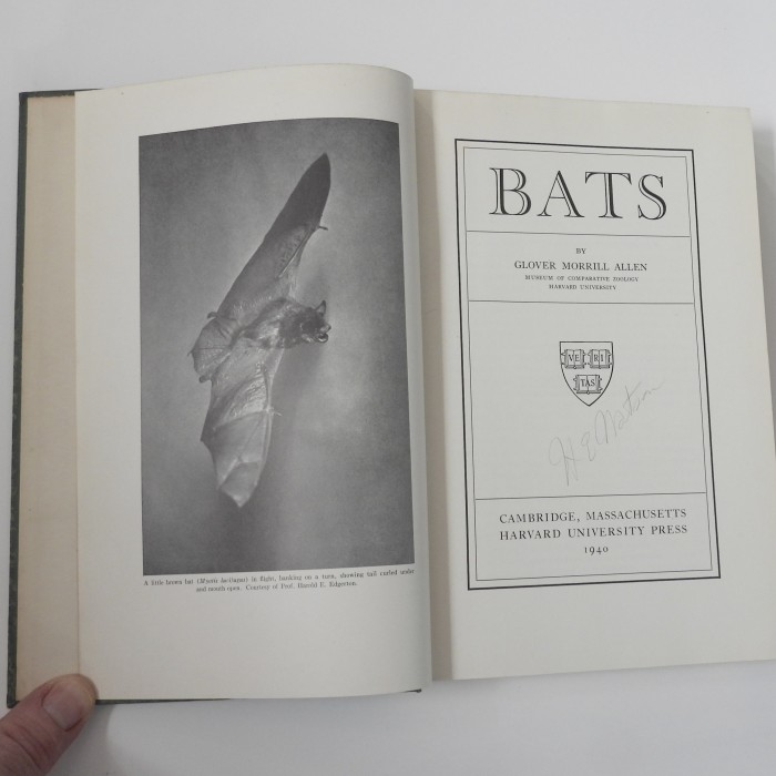 Bats By Glover Morrill Allen, 1940
