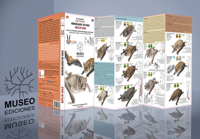 Bats Of Chile  - Product Image