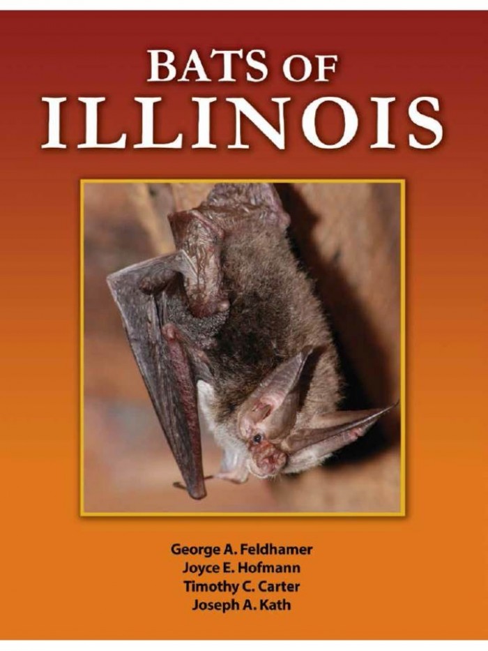 Bats Of Illinois