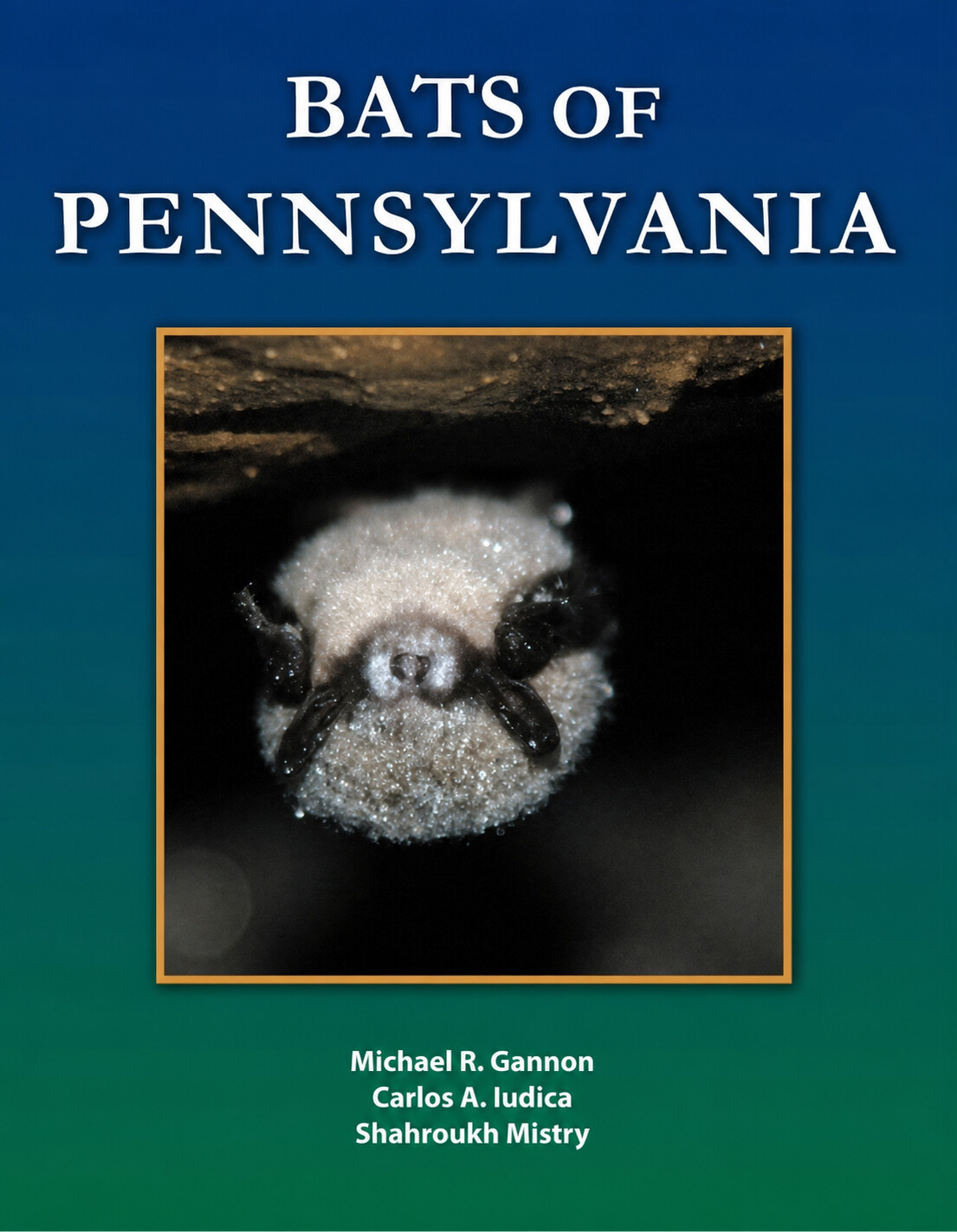 Bats Of Pennsylvania Bats Of Pennsylvania