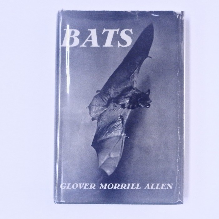 Bats By Glover Morrill Allen