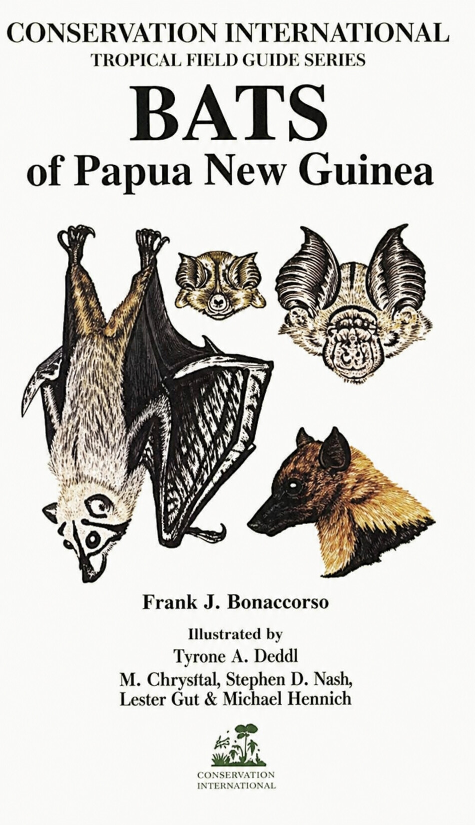 Bats of Papua New Guinea