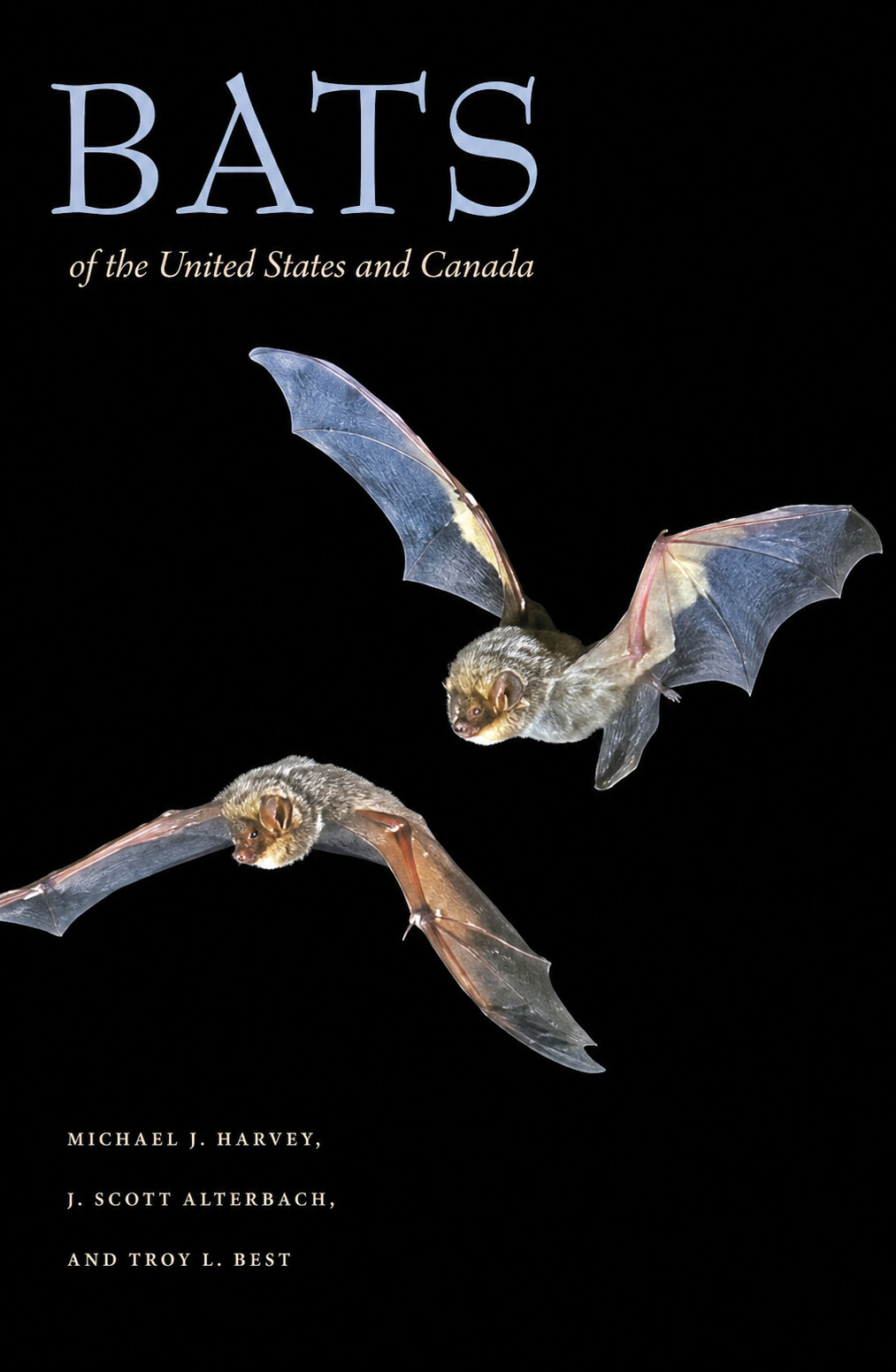 Bats of the United States and Canada
