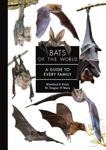 Bats of the World: A Guide to Every Family - Product Image