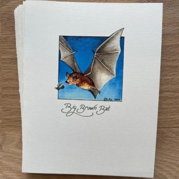 Big Brown Bat Blank Linen Cardstock Notecard