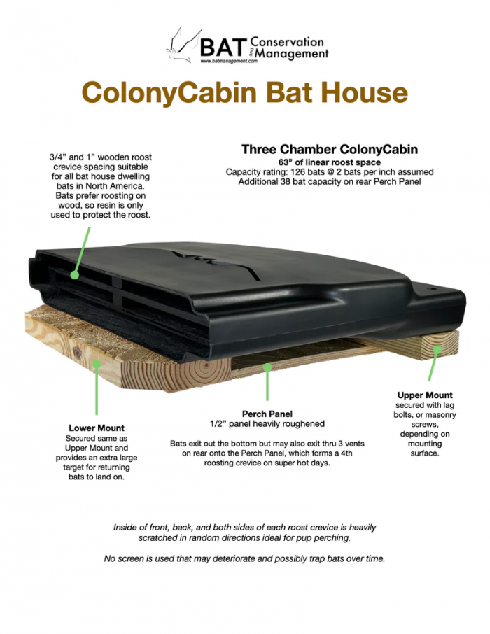 ColonyCabin - Resin Shelled 3 Chamber Bat House
