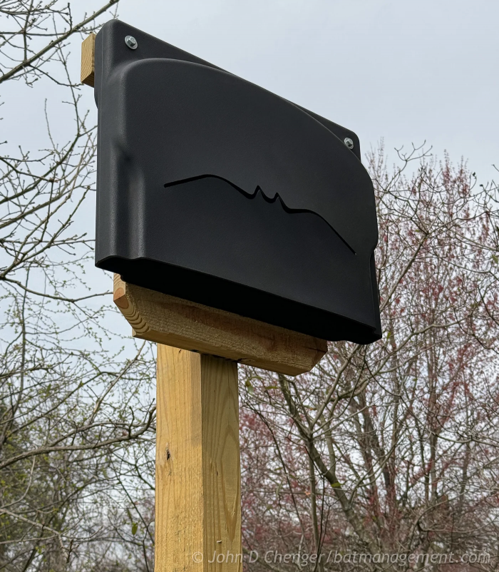 ColonyCabin - Resin Shelled 3 Chamber Bat House