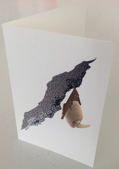 Gift Enclosure Bat Cards