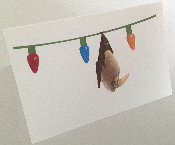 Gift Enclosure Bat Cards