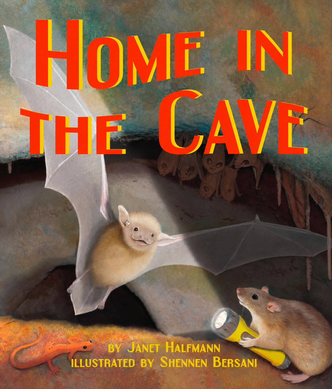 Home In the Cave - Paperback  - Product Image
