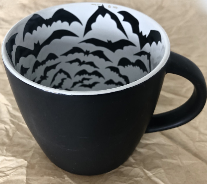 Interior Bat Flight Soup Mug