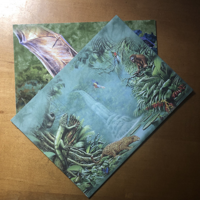Jungle Bat 5"x7" Individual Notecard