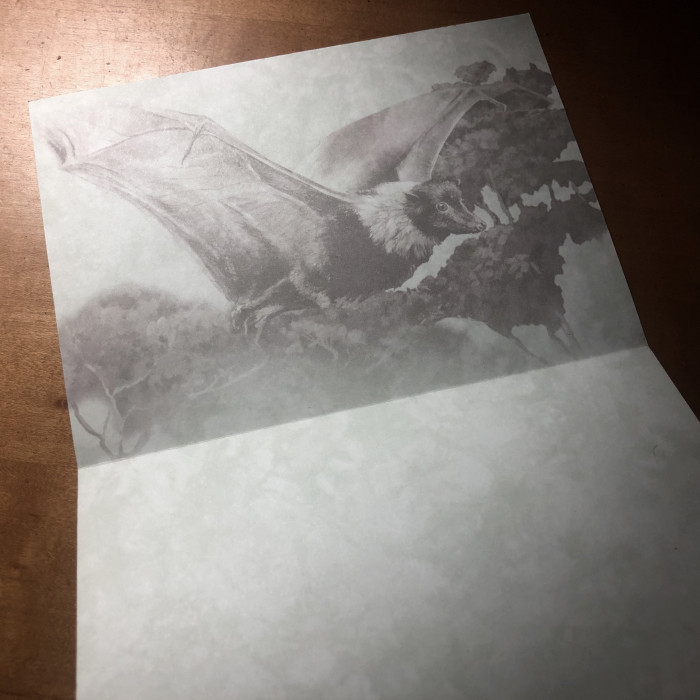 Jungle Bat 5"x7" Individual Notecard