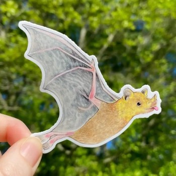 Lesser Long-Nosed Bat Weatherproof Vinyl Sticker - Product Image