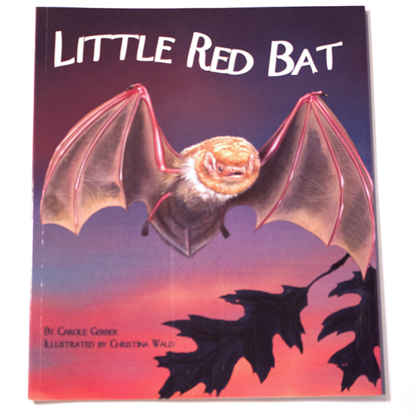 Little Red Bat