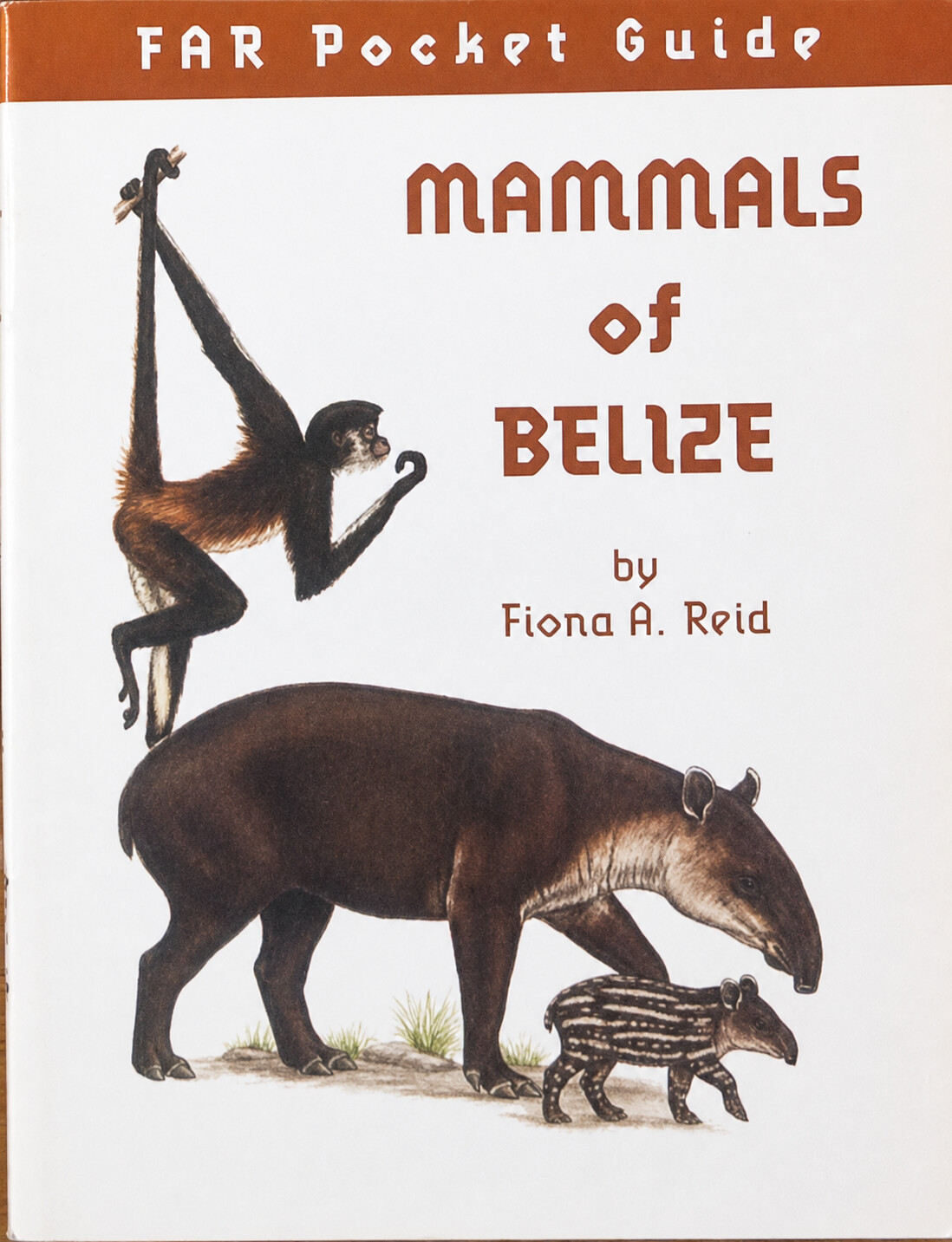 Mammals of Belize