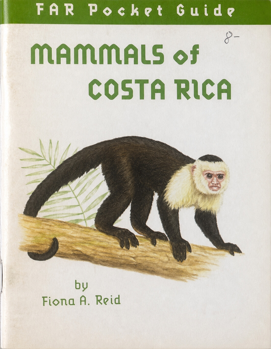 Mammals of Costa Rica