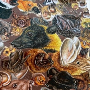 Many Faces of Bats Fleece Lined Microfiber Gaiter - Product Image