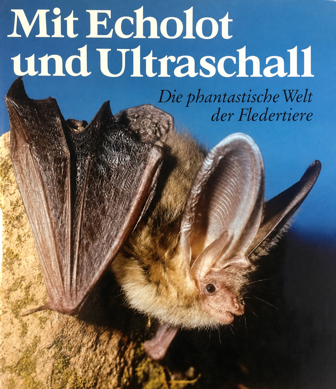 Mit Echolot und Ultraschall - Product Image