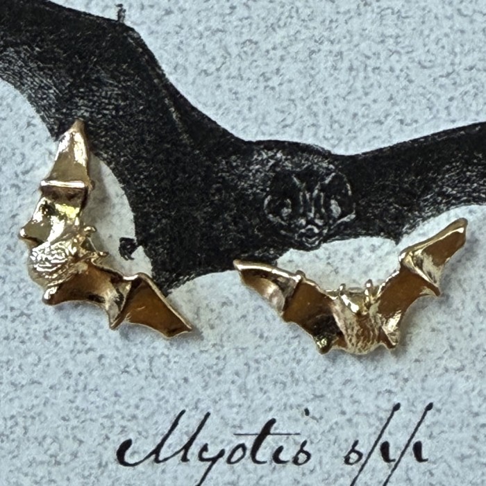 Myotis Gold Plate 5/8 Inch Stud Earrings