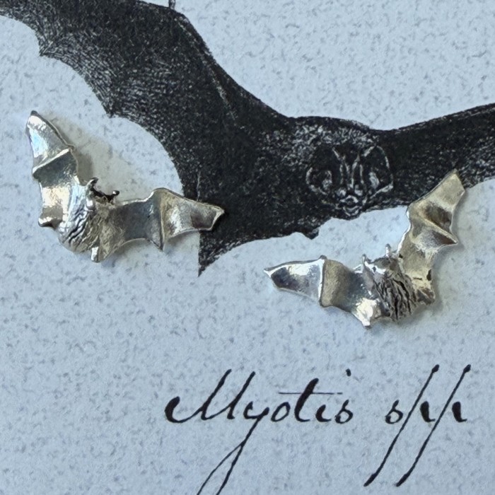 Myotis Silver Plate 5/8 Inch Stud Earrings