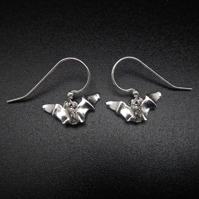 MyotisSilverPlateEarrings