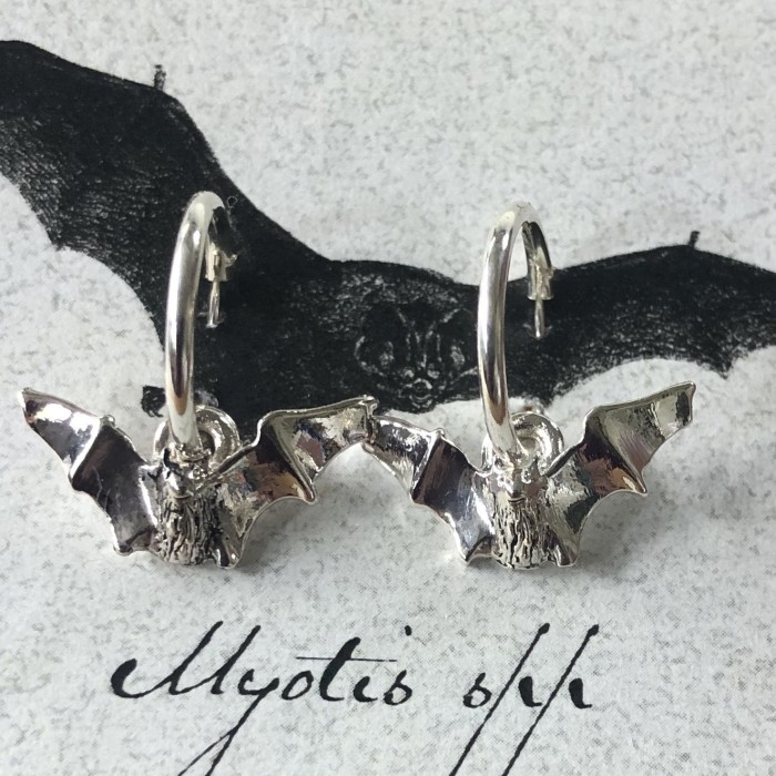 MyotisSilverPlateHoopEarrings