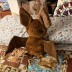 Super Size Wild Onez Plush Bat (30 Inch Wing Span)