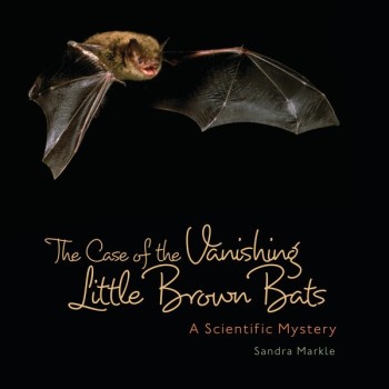 The Case of the Vanishing Little Brown Bats - A Scientific Mystery - Product Image