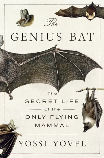 TheGeniusBat