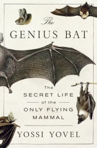 The Genius Bat  - Product Image