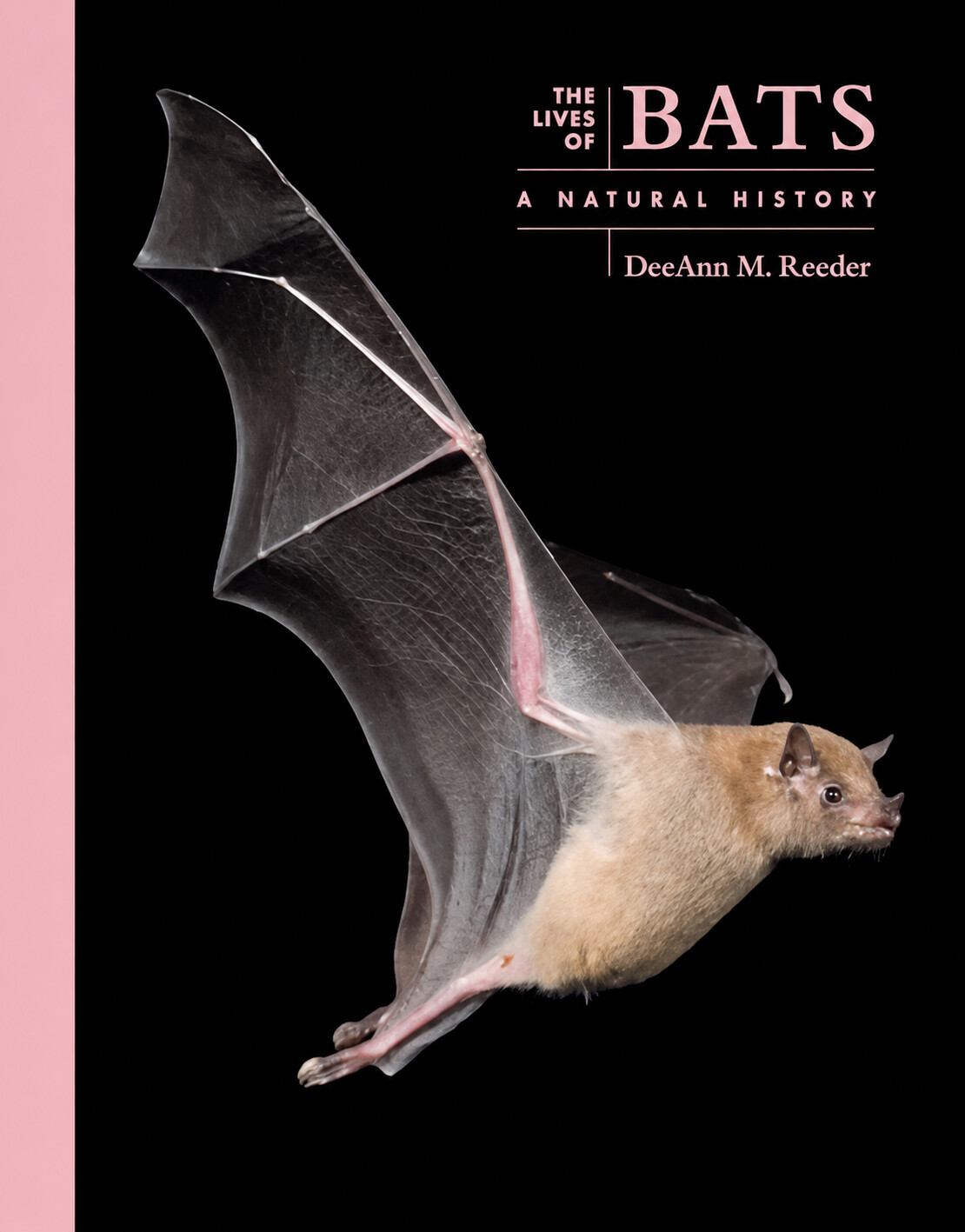 The Lives of Bats A Natural History - Product Image