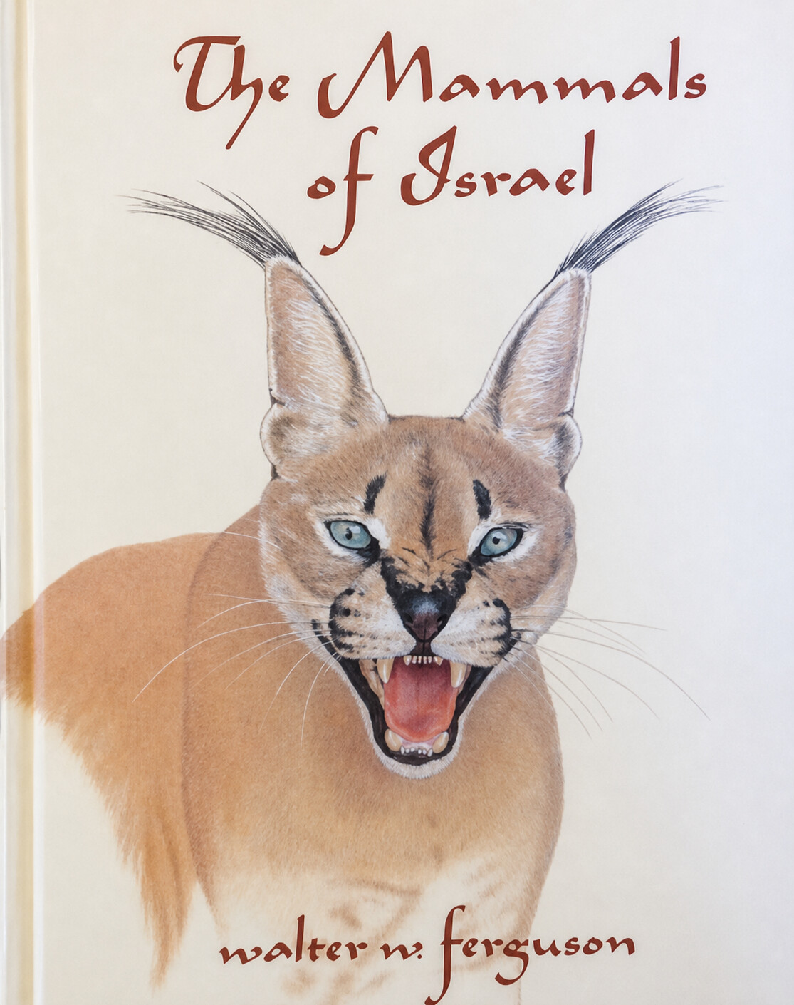The Mammals of Israel