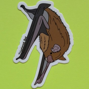 Tricolor Bat Die Cut Sticker - Product Image