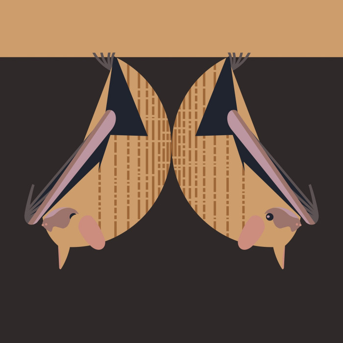Tricolored Bat (Perimyotis subflavus) Greeting Card