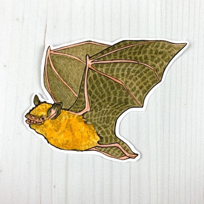 Tricolored Bat Vinyl Sticker