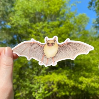 Tricolored Bat Weatherproof Vinyl Sticker - Product Image
